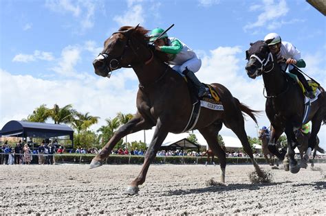 live racing at gulfstream|Iba pa.